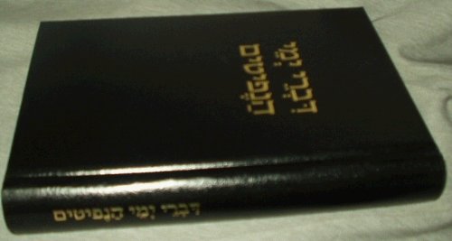 Hebrew Book of Mormon | Chronicles of the Nephites