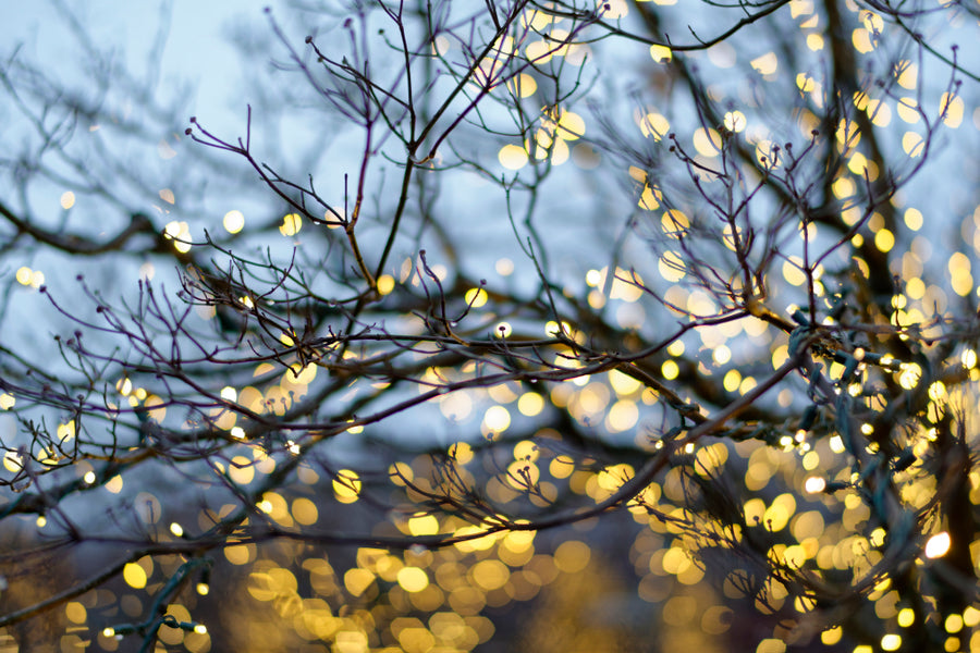 The First Presidency Christmas Devotional December 2, 2018